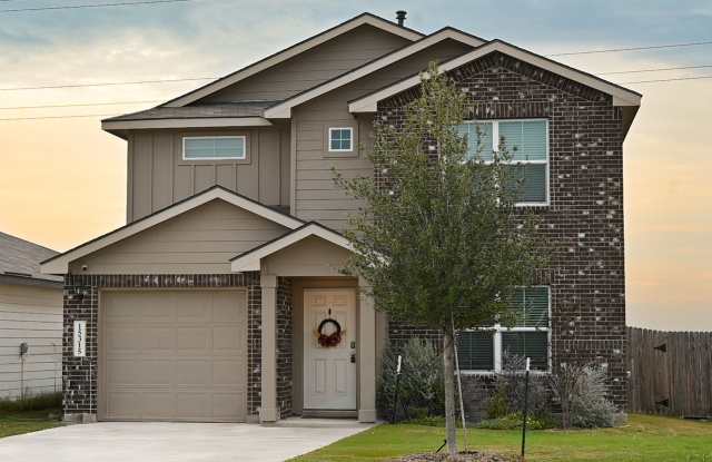 15315 Olive Pigeon photos photos