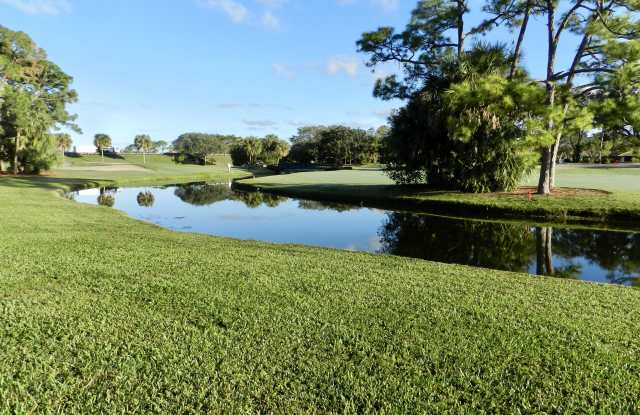 643 Brackenwood Cove Gallery 4