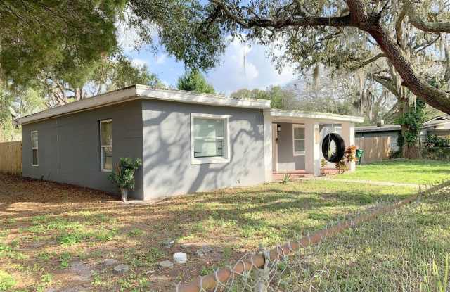 10019 N. 14th Street - 10019 North 14th Street, Tampa, FL 33612