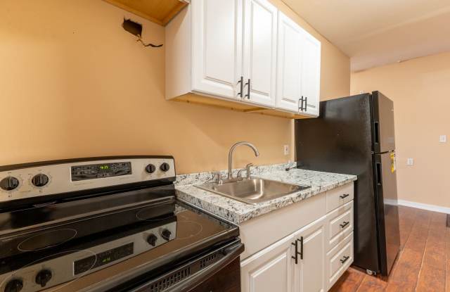 Recently renovated 1 bedroom, 1 bathroom apartment photos photos