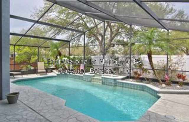 10102 Somersby DR - 10102 Somersby Drive, Riverview, FL 33578