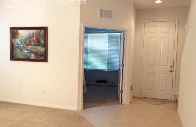 19242 EARLY VIOLET DR Gallery 4