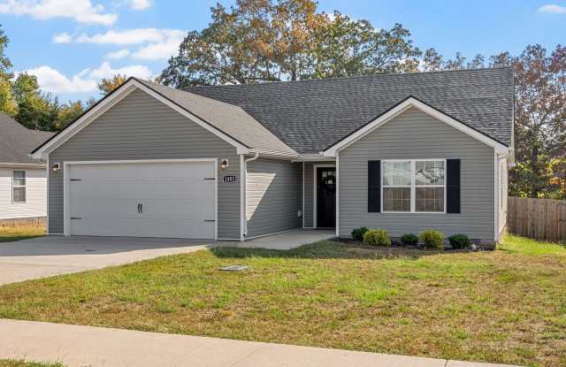 3 Bedroom 2 Bath Dog Friendly Home For Rent! photos photos