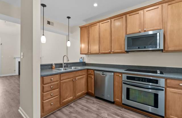 Norfolk Condo! Gallery 4