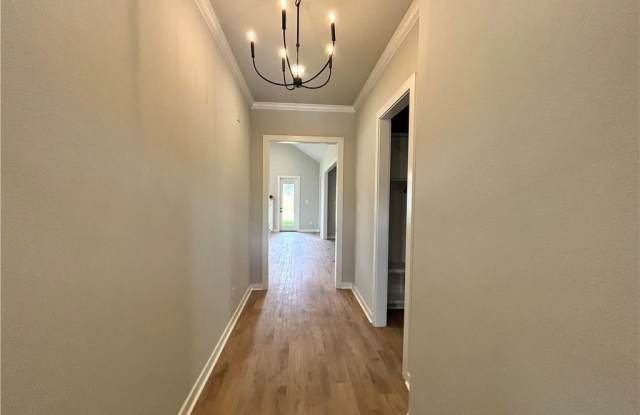 3704 Panola Park Gallery 2