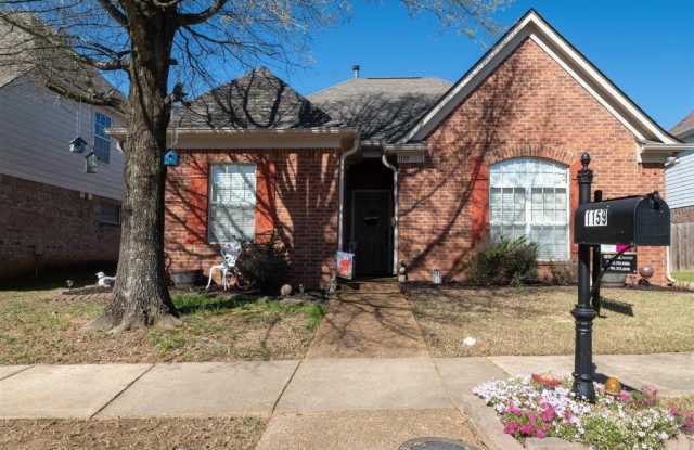 1159 CASENTINO photos photos