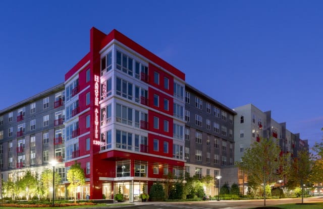Hanover Alewife photos photos