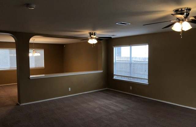 1013 LION KING Gallery 3