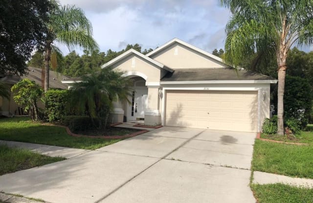 2151 Shelbourne Ct - 2151 Shelbourne Court, Wesley Chapel, FL 33543