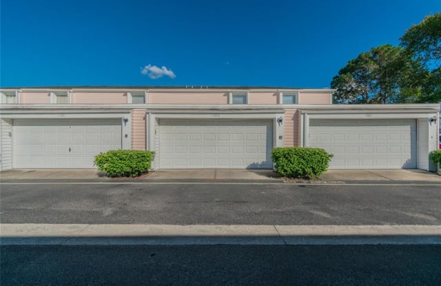 11905 CYPRESS VISTA - 11905 Cypress Vista, Westchase, FL 33626