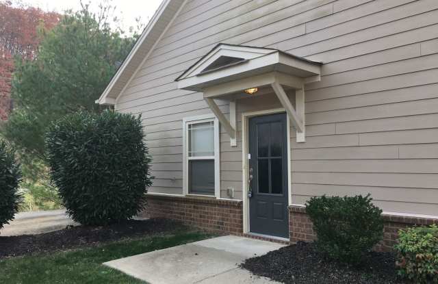 1126 Woodbury Falls Ct Gallery 2