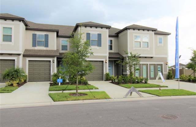 31811 BLUE PASSING LOOP - 31811 Blue Passing Loop, Pasadena Hills, FL 33545