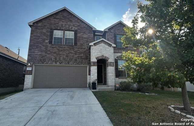 1619 CROWN DAISY photos photos