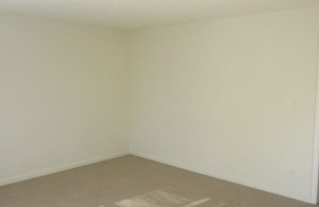 966 Grand Arbre Drive Gallery 4