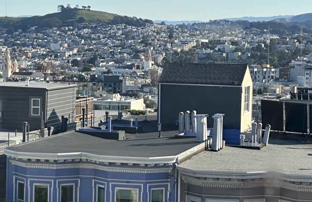507 Steiner Street photos photos