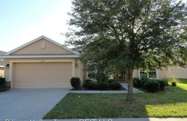 15643 Starling Water Drive - 15643 Starling Water Dr, Fish Hawk, FL 33547