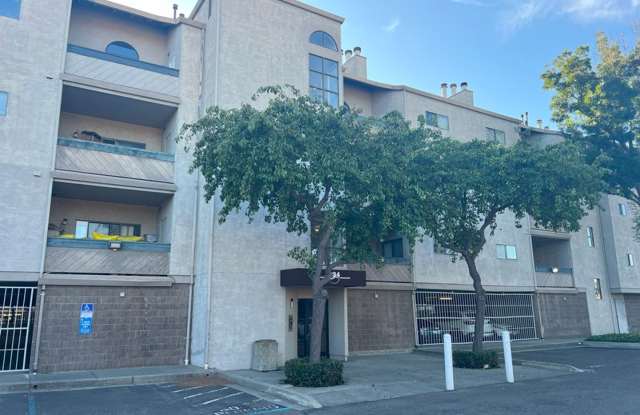 STUNNING 2bd/2ba PET FRIENDLY, UPDATED, LVP FLOORING, HIGH CEILINGS, 2 PARKING, w/POOL  HOT TUB photos photos