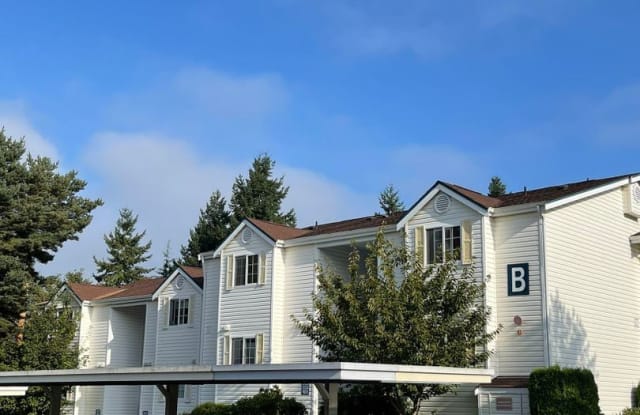 11002 SE Petrovitsky Road #B301 - 11002 SE Petrovitsky Rd, Renton, WA 98055
