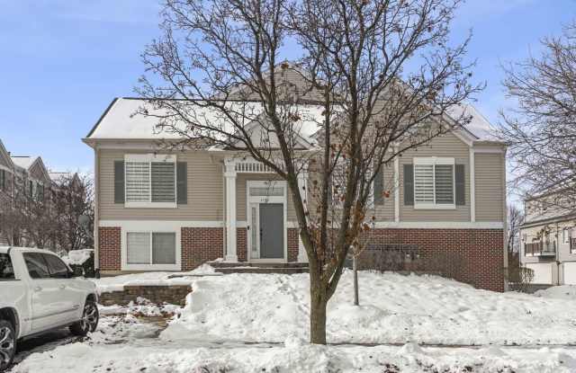 117 Enclave Circle unit: A - 117 Enclave Circle, Bolingbrook, IL 60440