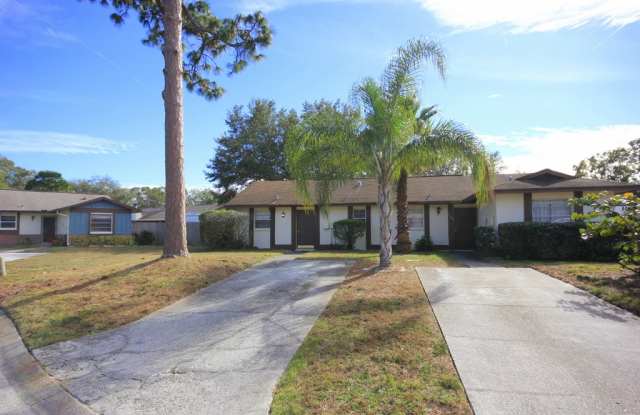 5106 Letitia Ct - 5106 Letitia Court, Carrollwood, FL 33624