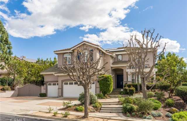 2856 Eider photos photos 2856 Eider photos photos