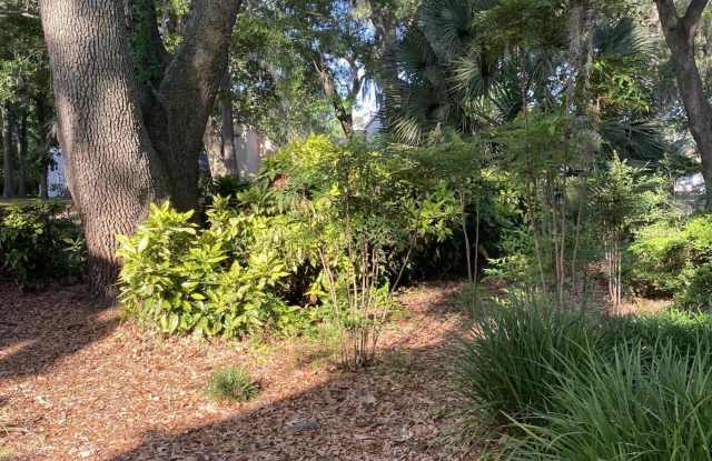 981 Harbor Oaks Drive Gallery 3