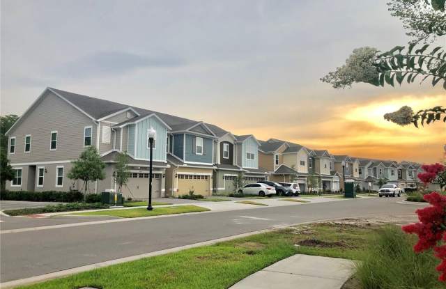 2469 SEDGE GRASS WAY photos photos