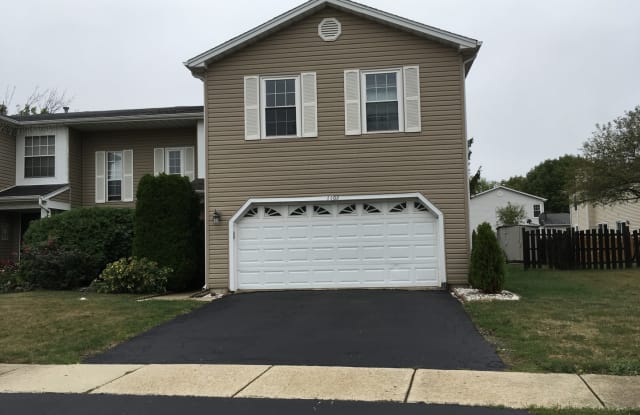 1102 Southbridge Lane - 1102 Southbridge Court, Schaumburg, IL 60194