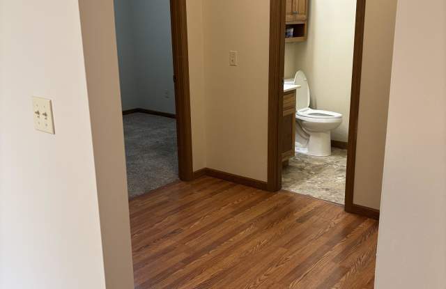 204 T1350 Gallery 3
