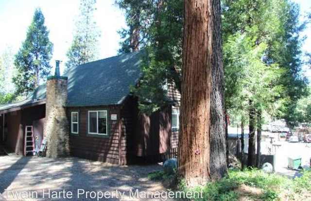22916 Black Hawk Dr - 22916 Black Hawk Drive, Twain Harte, CA 95383