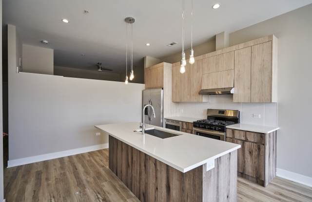 4149 S Cottage Grove Avenue Gallery 2