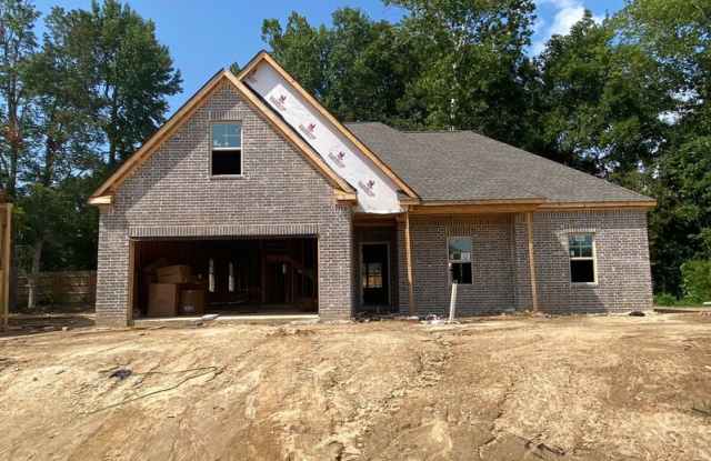 9986 Messana Cv photos photos