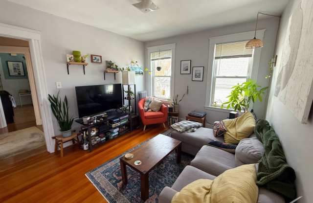 Beautiful Sunny Brighton 3-Bed w/ Parking photos photos