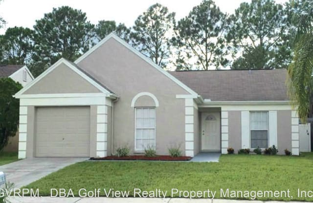 11010 Summer DR - 11010 Summer Drive, Carrollwood, FL 33624