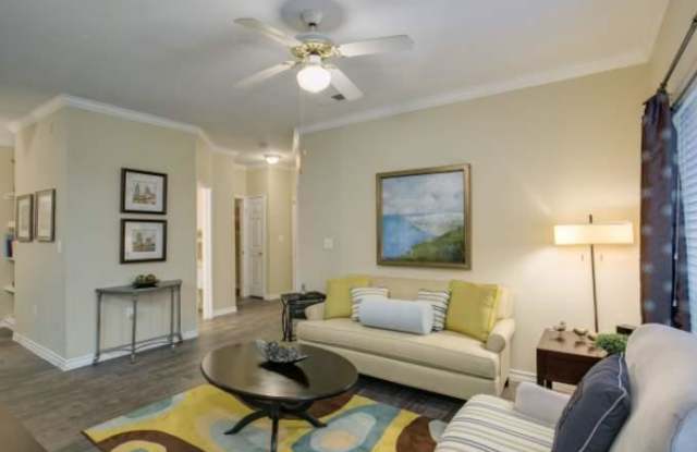 Vineyard Springs photos photos