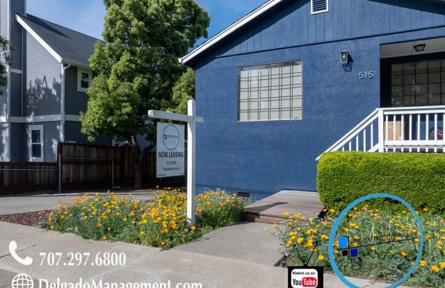 Benicia! Beautiful newly remodeled two bedroom, one bath with large shared yard available now! photos photos