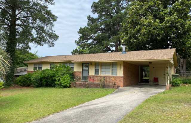 Cayce/West Columbia Gallery 3