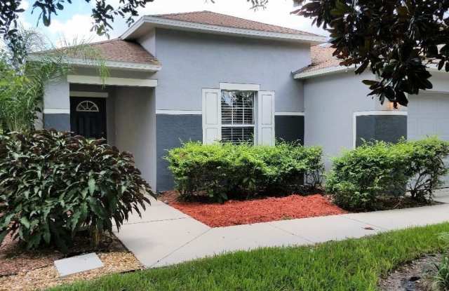 13515 RED EAR COURT - 13515 Red Ear Court, Riverview, FL 33569