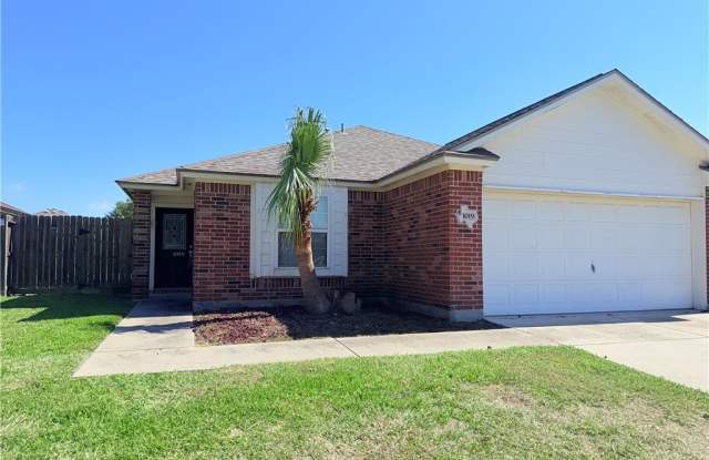 1019 Livermore Street photos photos