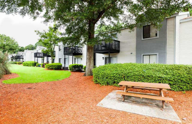 Palm Trace Gallery 2