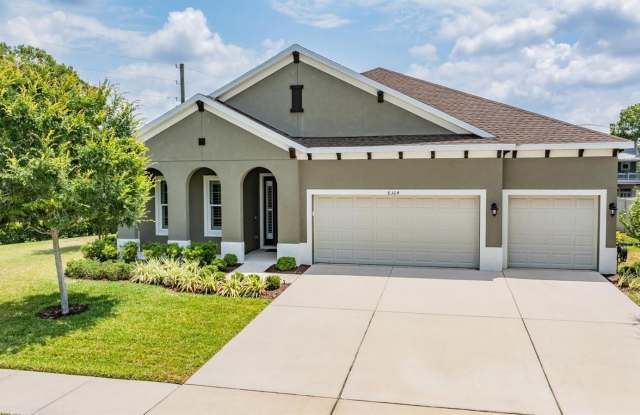8304 SKY EAGLE DRIVE - 8304 Sky Eagle Drive, Hillsborough County, FL 33635