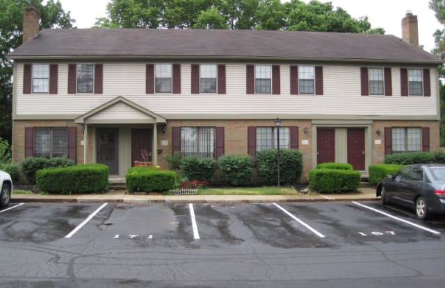 163 Blakeford Drive - 163 Blakeford Drive, Dublin, OH 43017
