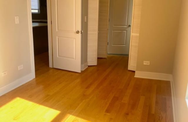 5041 N Springfield Ave B1 - 5041 North Springfield Avenue, Chicago, IL 60625