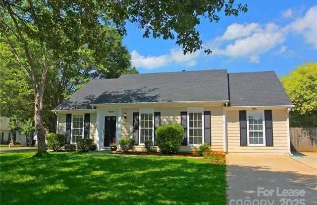 13801 Dannemara Drive - 13801 Dannemara Drive, Mecklenburg County, NC 28134