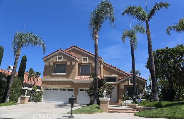 24825 Alexandra Court photos photos