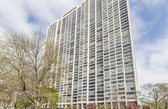 2800 N Lake Shore Drive Gallery 1