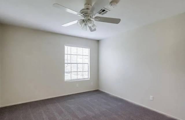 10305 Azuaga St photos photos