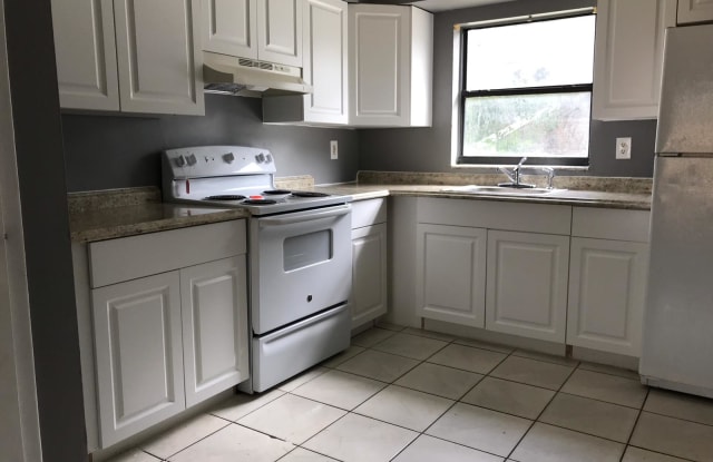 1413 East 99th Avenue - 1413 E 99th Ave, Tampa, FL 33612