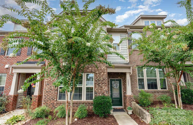 3021 Honeylocust Lane - 3021 Honeylocust Lane, Indian Land, SC 29707