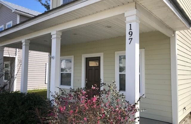 197 Promenade Place - 197 Promenade Pl Brunswick 31520, Dock Junction, GA 31520